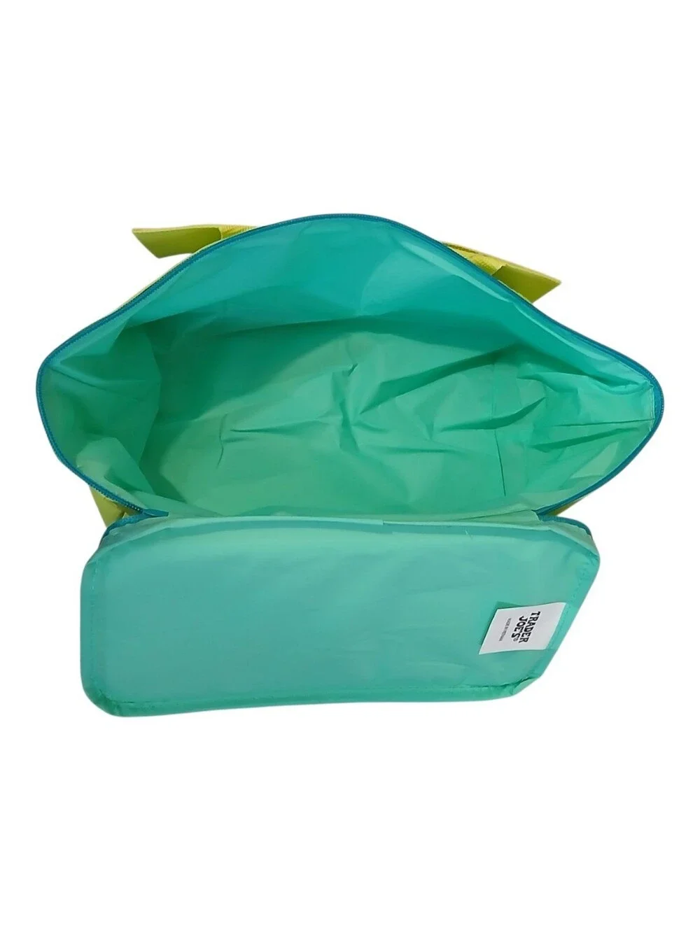 Trader Joe's Mini Insulated Bag green/blue